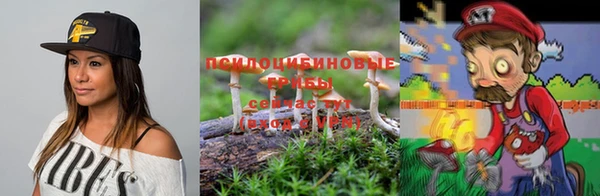 скорость Богородицк