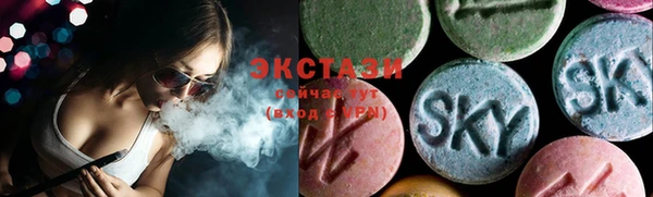 spice Богородск