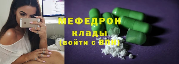 spice Богородск