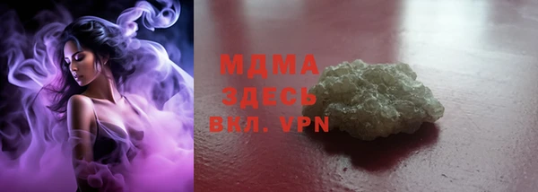 spice Богородск