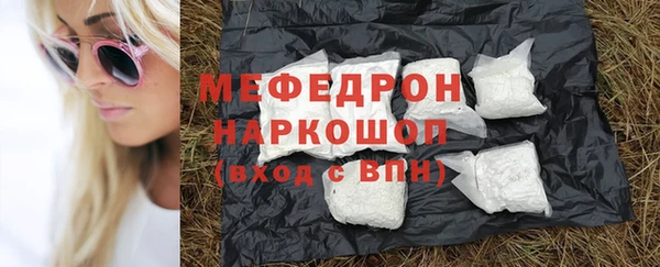 spice Богородск