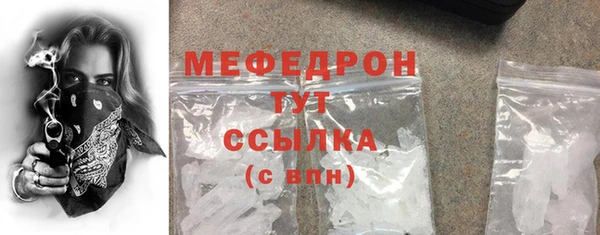 spice Богородск