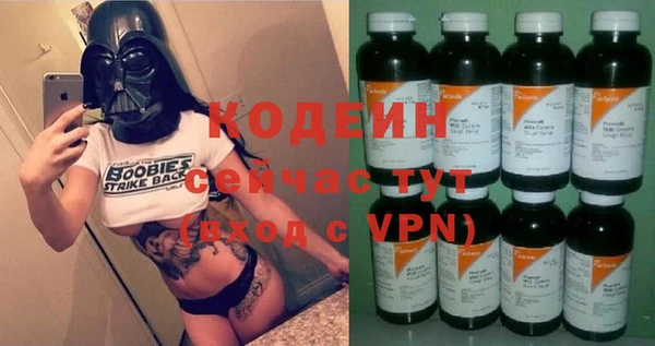 spice Богородск