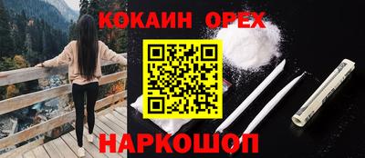 сатива Апшеронск