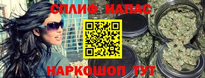 сатива Апшеронск