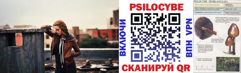 Галлюциногенные грибы Psilocybine cubensis  сколько стоит  Гатчина 