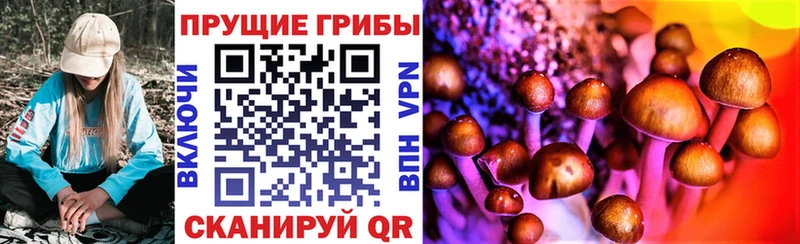 Галлюциногенные грибы ЛСД Гатчина