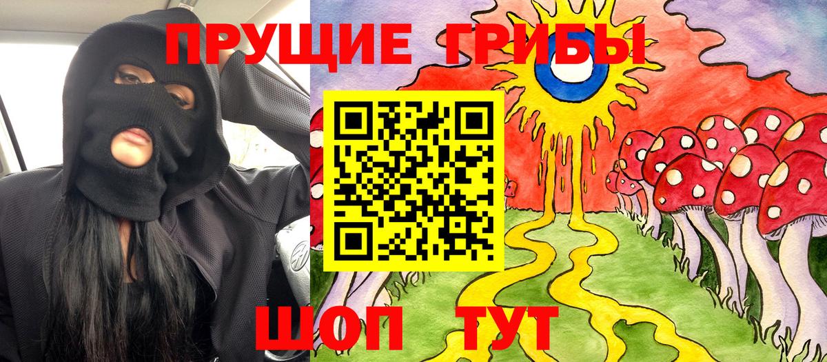 Галлюциногенные грибы Cubensis Гатчина