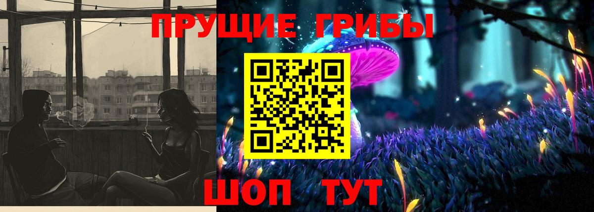 Псилоцибиновые грибы Psilocybe  Псилоцибиновые грибы Magic Shrooms  Гатчина 