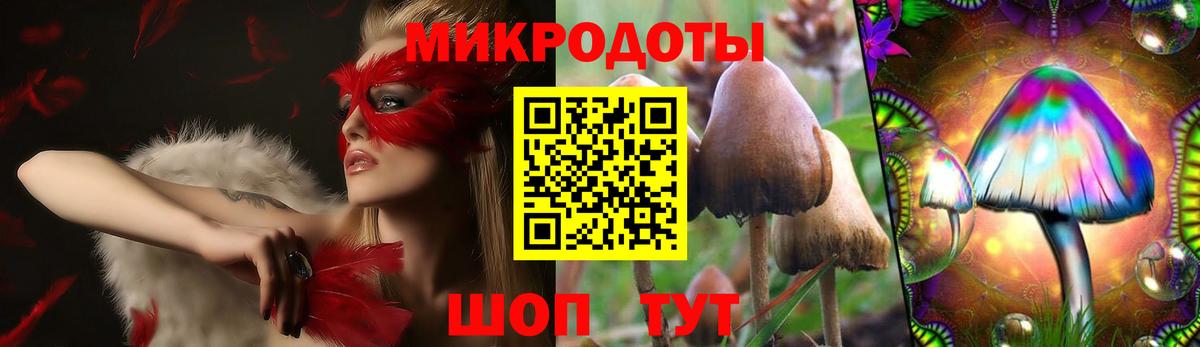 Псилоцибиновые грибы мухоморы Гатчина