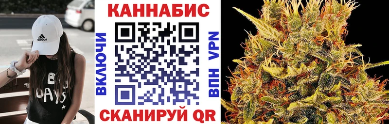 Бошки Шишки SATIVA & INDICA  сколько стоит  Гатчина 