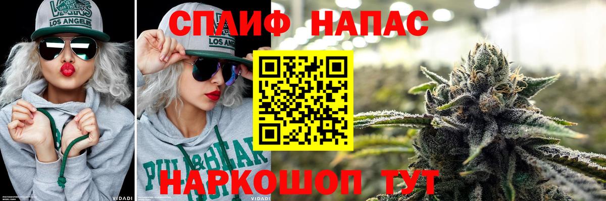 Каннабис план  Вход с VPN  Каннабис гибрид  Бошки марихуана сатива  Гатчина 